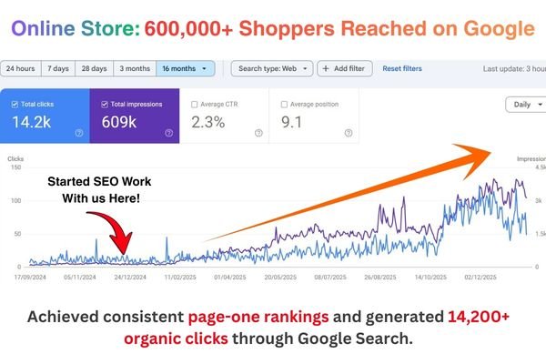 Ecommerce SEO ranking proof screenshot