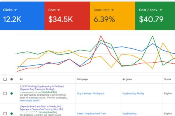 Google Ads result proof screenshot